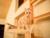 IMG-006_R